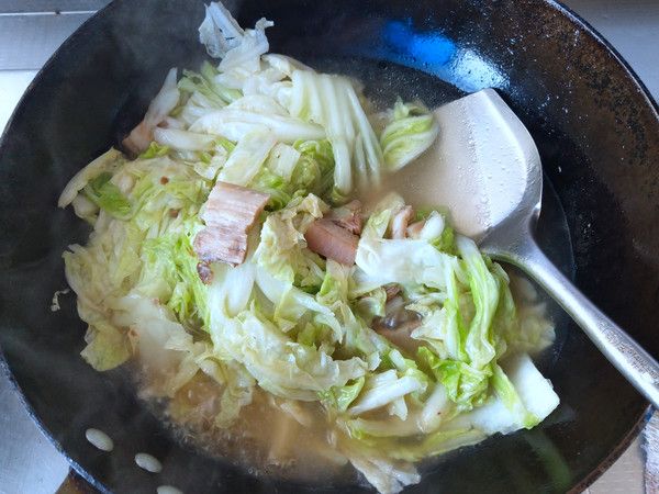 第8步(猪肉白菜炖粉条的做法)