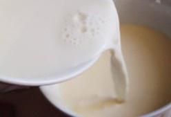 第6步(牛奶布丁的做法)