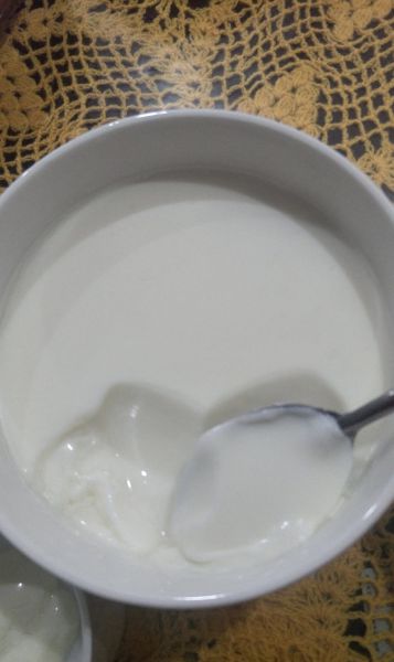 自制酸奶成品图