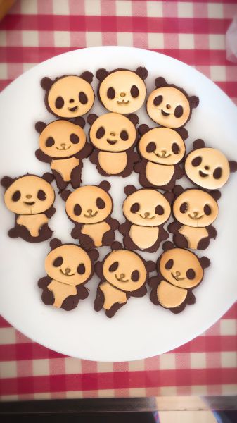 熊猫饼干成品图