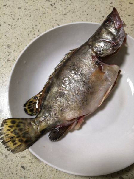 清蒸葱花桂花鱼的做法 菜谱大杂烩