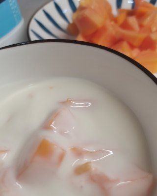 第4步(木瓜酸奶的做法)