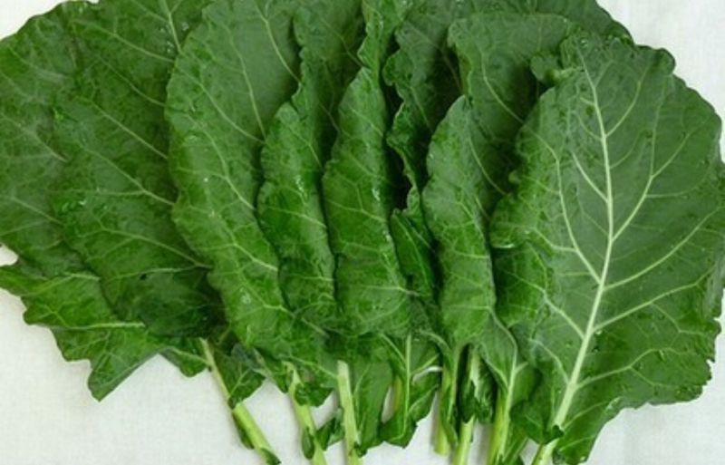 Kale 羽衣甘蓝 排毒净身汁的做法 菜谱大杂烩
