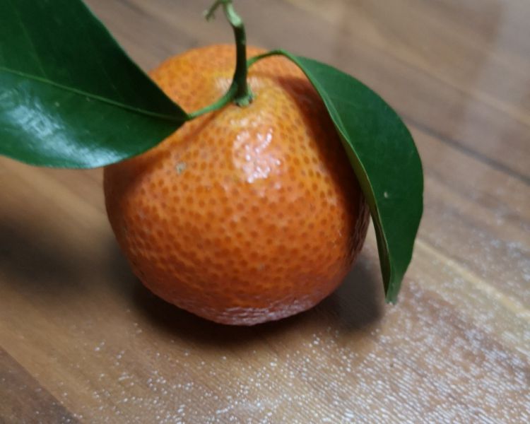 橘子成品图