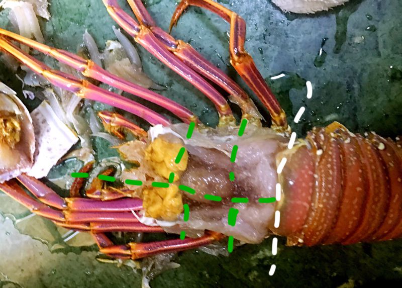 第4步(龙虾粥、清蒸龙虾及处理龙虾的方法的做法)