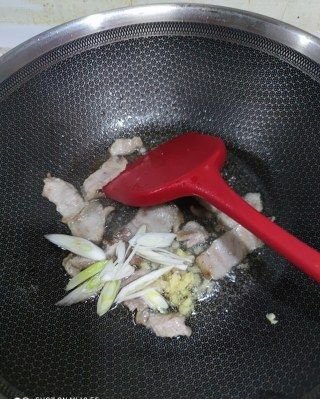 第9步(猪肉白菜炖粉条的做法)