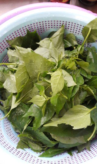 白花菜豆腐汤的做法 菜谱大杂烩