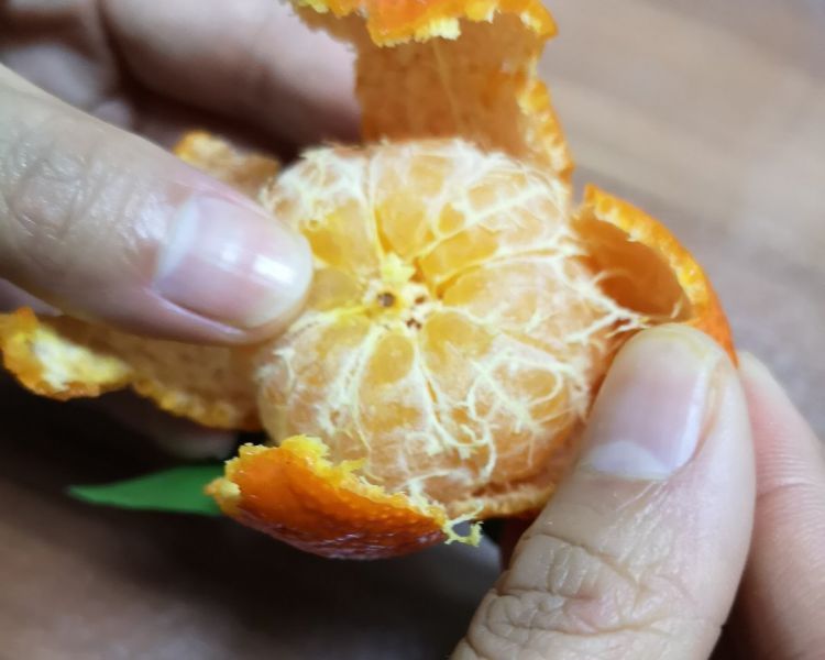 第6步(橘子的做法)