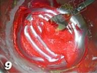 第9步(彩绘草莓蛋糕卷的做法)