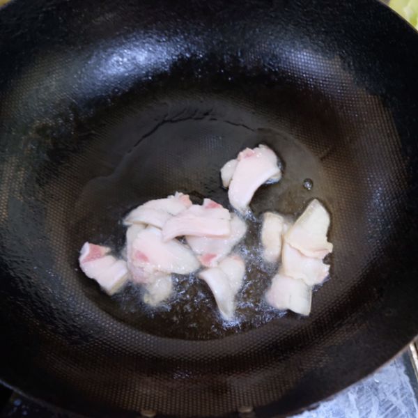 第7步(白菜猪肉炖粉条的做法)