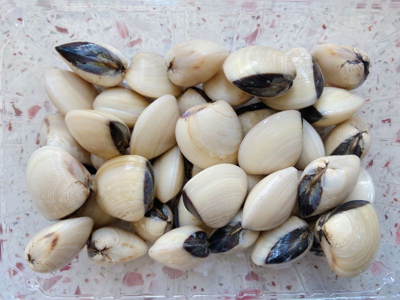 第1步(沙白蒸鸡蛋的做法)