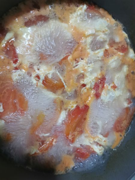 第11步(西红柿鸡蛋汤的做法)