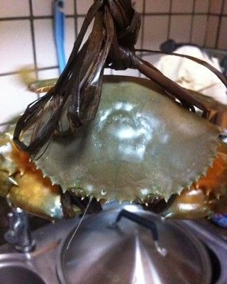 第1步(咖喱螃蟹的做法)