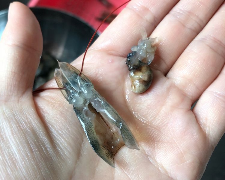 饲料级虾壳粉虾糠粉报价饲料级虾壳粉厂家饲料级虾壳粉供应 沧州市饲料级虾壳粉虾糠粉厂家 一呼百应网