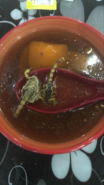土茯苓蝎子汤图片