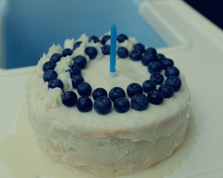 周岁生日蛋糕（无糖版）成品图