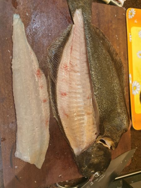 香煎左口鱼 比目鱼 鲽鱼 包括从活鱼到鱼排详细拆解 的做法 菜谱大杂烩