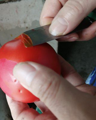 第1步(西红柿炒鸡蛋的做法)