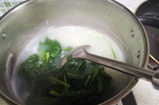 第13步(菠菜猪肝粥的做法)