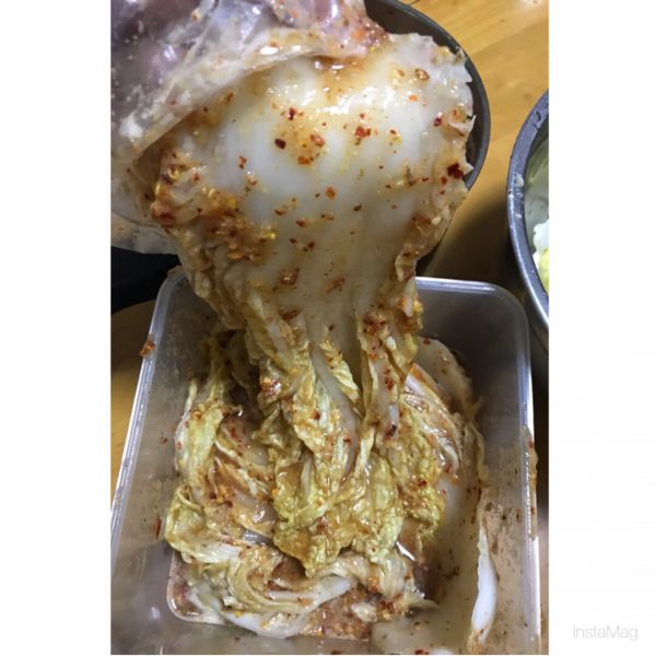 韩国泡菜成品图