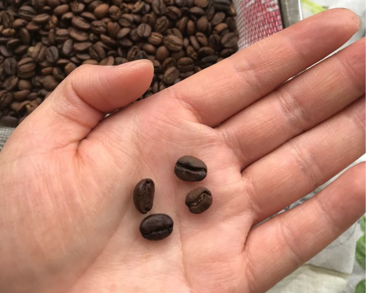 第7步(家庭烘焙咖啡豆的做法)
