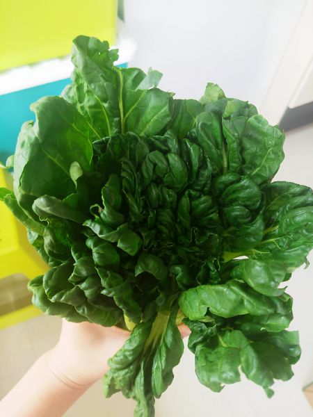 第1步(白灼菊花菜的做法)