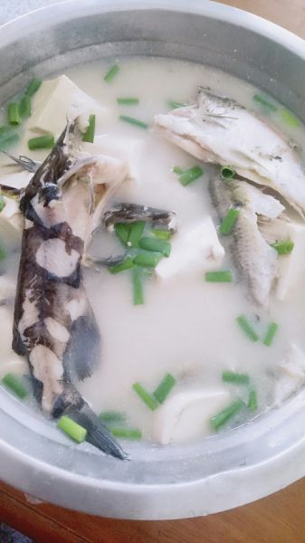 黄花鱼豆腐汤的做法 菜谱大杂烩 黄花鱼豆腐汤的做法 菜谱大杂烩