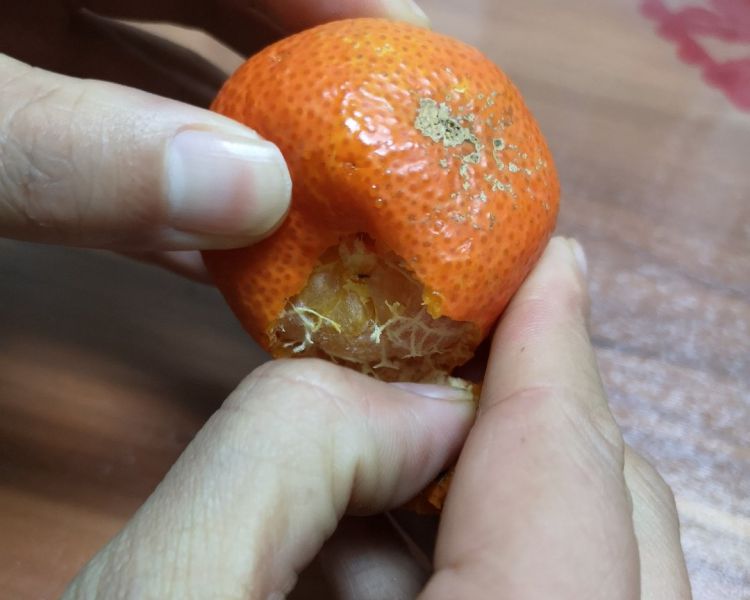 第5步(橘子的做法)
