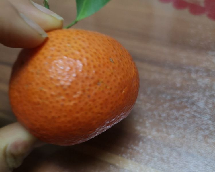 第4步(橘子的做法)