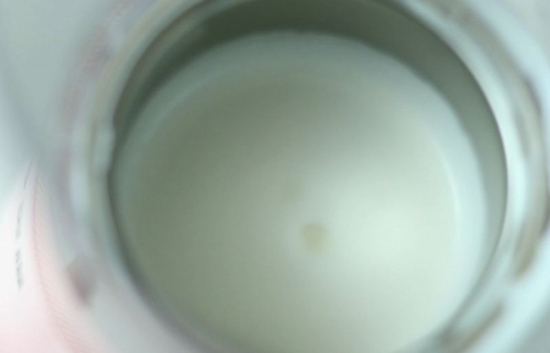 第8步(灵檬奶茶机食谱|红枣桂圆奶茶的做法)