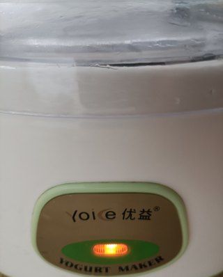 第11步(木瓜酸奶的做法)