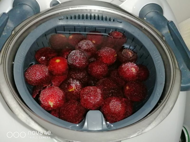 杨梅汁的做法(杨梅汁的做法最简单的)