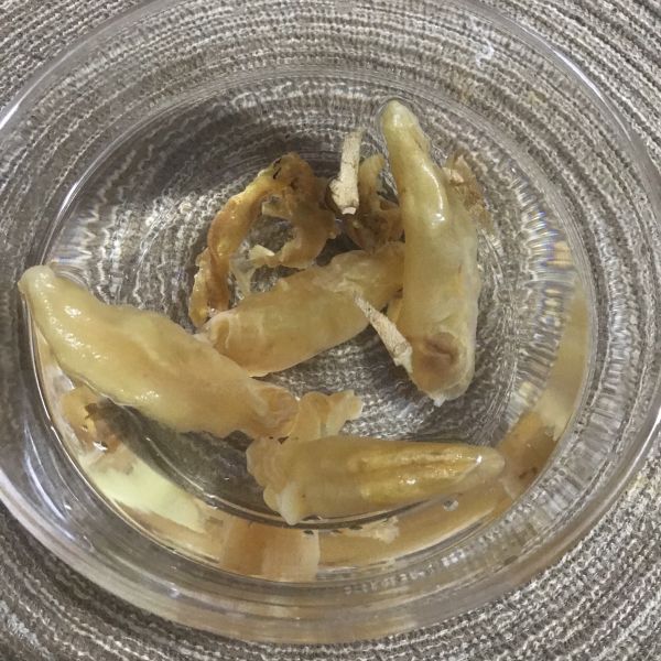 花胶响螺汤的做法 菜谱大杂烩