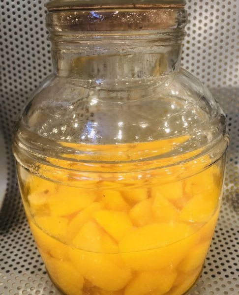 自制黄桃罐头成品图