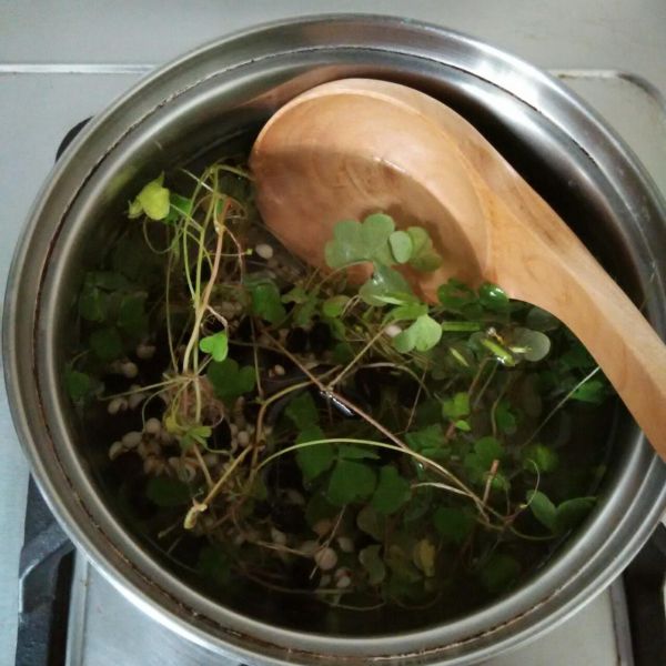 第4步(薏仁黑豆酢浆草茶(清热除湿)的做法)