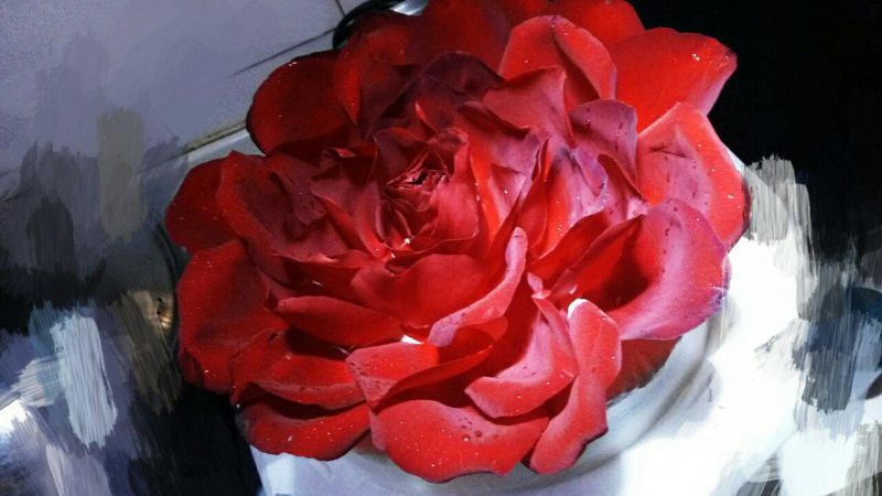 玫瑰花蛋糕成品图